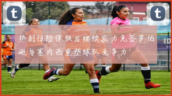 热刺惊险保级后继续发力免签罗伯逊与塞内西重塑球队竞争力