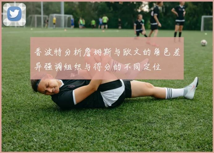 香波特分析詹姆斯与欧文的角色差异强调组织与得分的不同定位